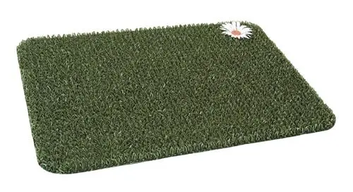 Clean Machine Daisy Evergreen Astroturf-Style Entryway Mat (23.5" X 17.5") 1