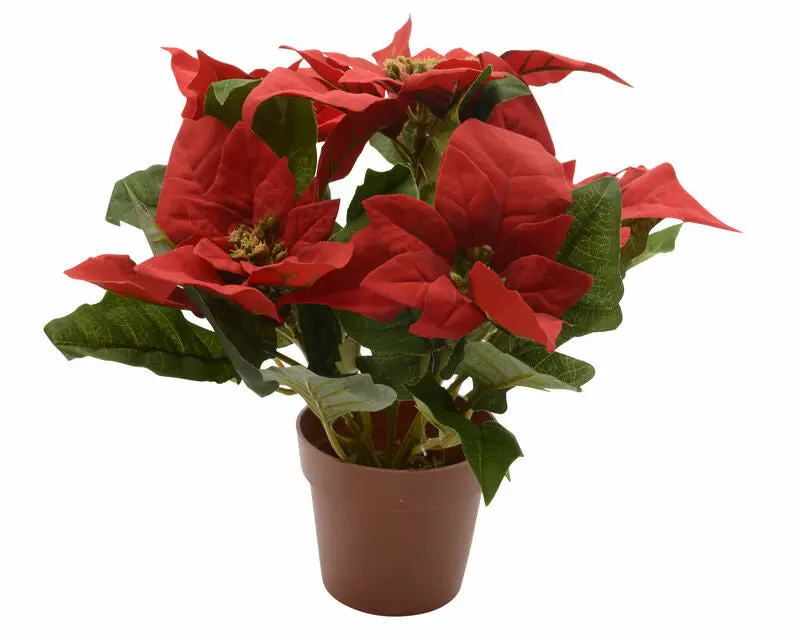 Decoris Red Silk Poinsettia Arrangement – 11" Potted, 12-Pack (627876) 1